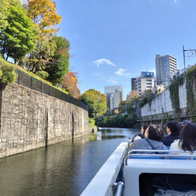 Repre(リプレ) シンパティ