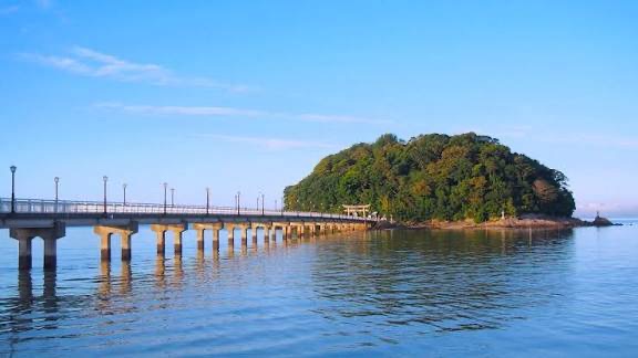 Repre（リプレ）　シンパティ