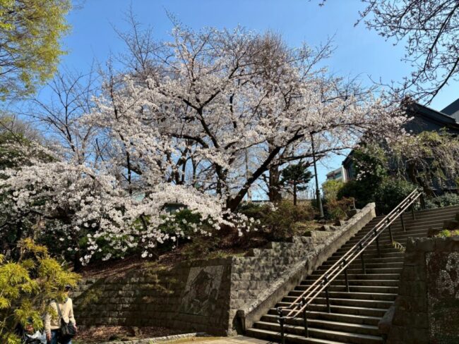 Repre(リプレ) シンパティ