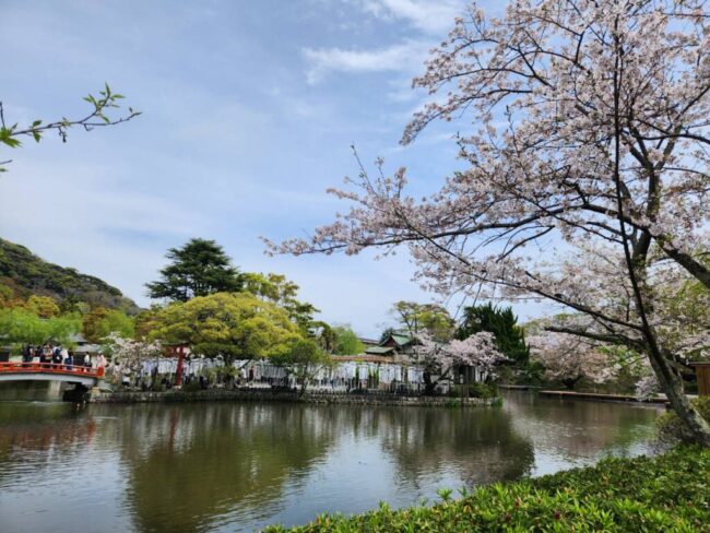 Repre（リプレ）　シンパティ